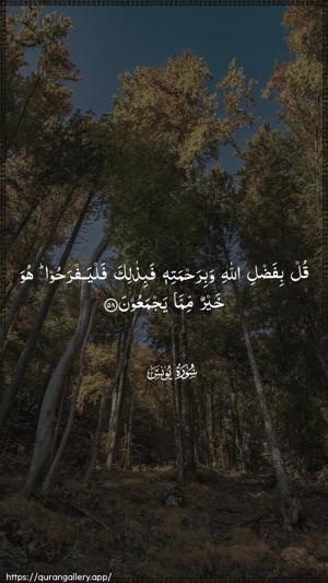 Yunus Ayah 58 - Arabic wallpaper