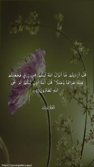 Yunus Ayah 59 - Arabic wallpaper