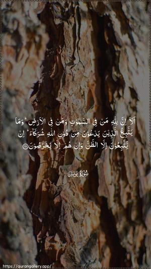 Yunus Ayah 66 - Arabic wallpaper