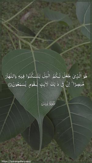 Yunus Ayah 67 - Arabic wallpaper