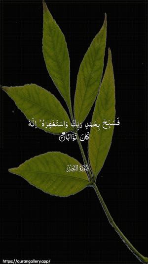 An-Nasr Ayah 3 - Arabic wallpaper