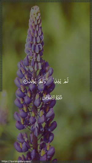 Al-Ikhlaas Ayah 3 - Arabic wallpaper