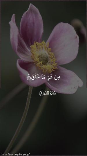 Al-Falaq Ayah 2 - Arabic wallpaper