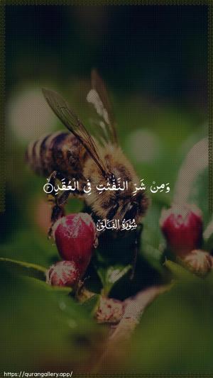 Al-Falaq Ayah 4 - Arabic wallpaper