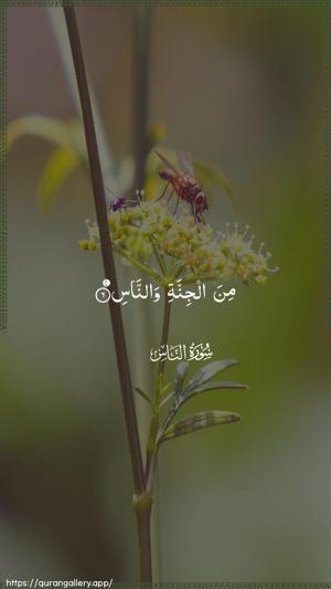 An-Naas Ayah 6 - Arabic wallpaper