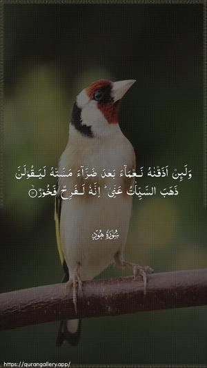 Hud Ayah 10 - Arabic wallpaper
