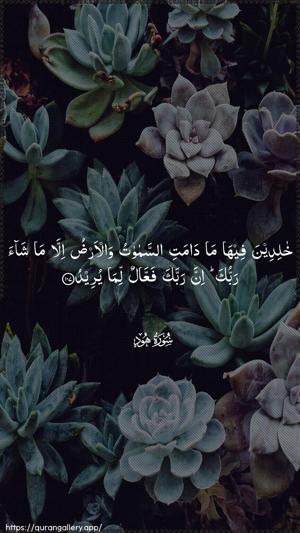 Hud Ayah 107 - Arabic wallpaper