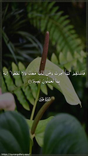 Hud Ayah 112 - Arabic wallpaper