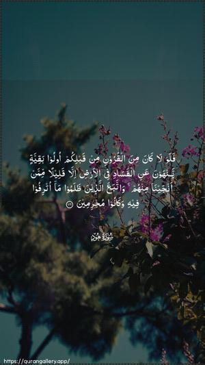 Hud Ayah 116 - Arabic wallpaper