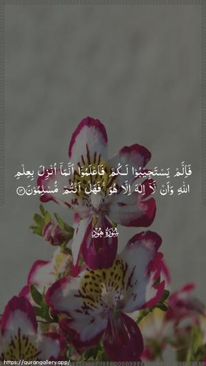 Hud Ayah 14 - Arabic wallpaper