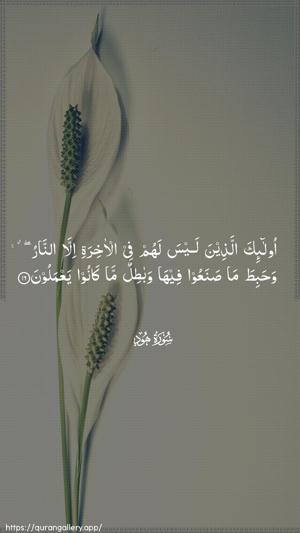 Hud Ayah 16 - Arabic wallpaper