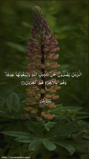Hud Ayah 19 - Arabic wallpaper