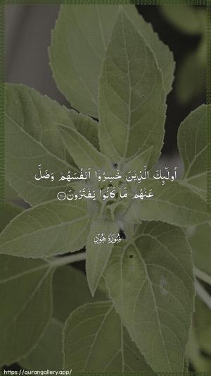 Hud Ayah 21 - Arabic wallpaper