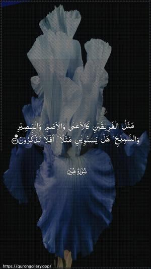 Hud Ayah 24 - Arabic wallpaper