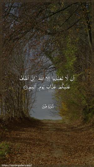 Hud Ayah 26 - Arabic wallpaper