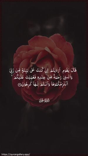 Hud Ayah 28 - Arabic wallpaper