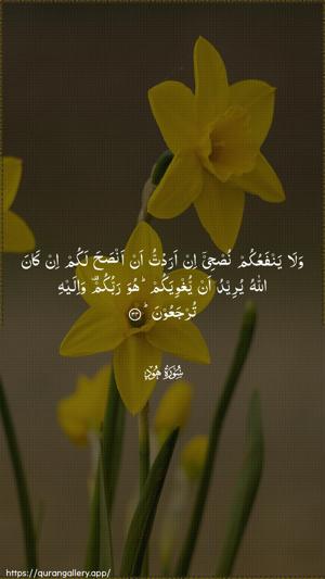 Hud Ayah 34 - Arabic wallpaper