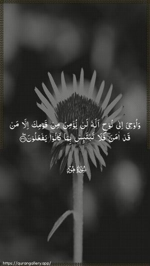 Hud Ayah 36 - Arabic wallpaper