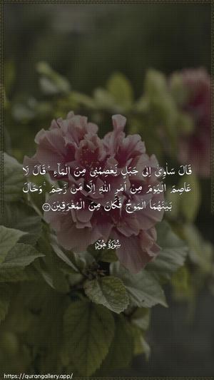 Hud Ayah 43 - Arabic wallpaper