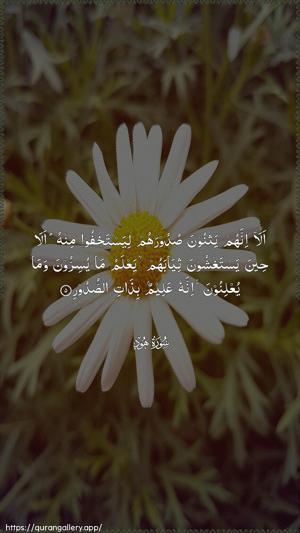 Hud Ayah 5 - Arabic wallpaper