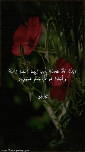 Hud Ayah 59 - Arabic wallpaper