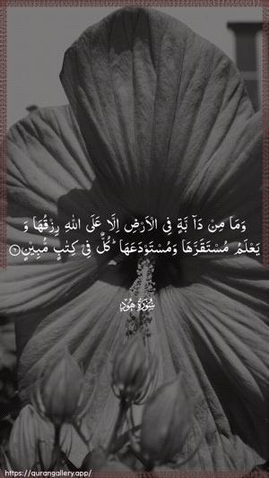 Hud Ayah 6 - Arabic wallpaper