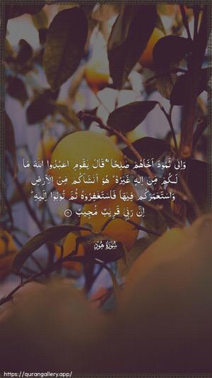 Hud Ayah 61 - Arabic wallpaper