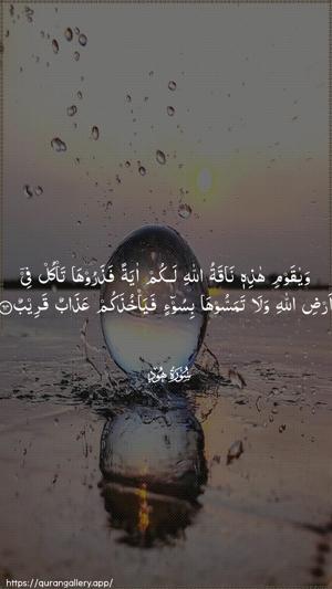 Hud Ayah 64 - Arabic wallpaper