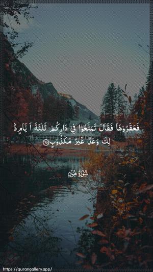 Hud Ayah 65 - Arabic wallpaper