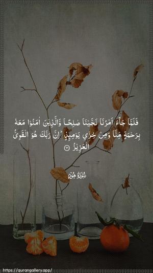Hud Ayah 66 - Arabic wallpaper