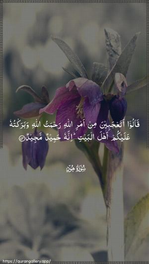 Hud Ayah 73 - Arabic wallpaper