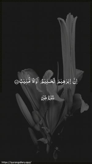 Hud Ayah 75 - Arabic wallpaper