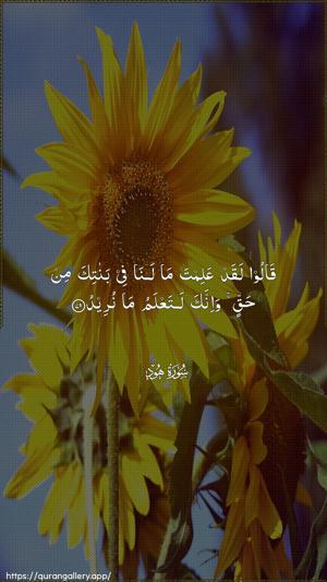 Hud Ayah 79 - Arabic wallpaper