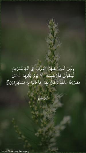 Hud Ayah 8 - Arabic wallpaper