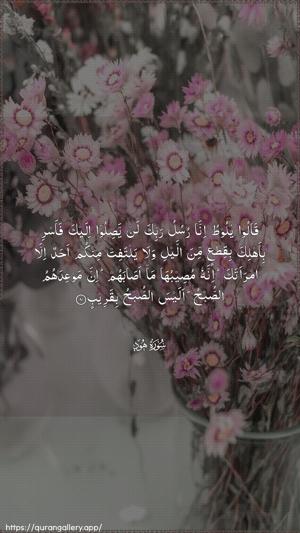 Hud Ayah 81 - Arabic wallpaper