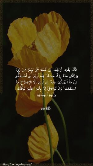 Hud Ayah 88 - Arabic wallpaper