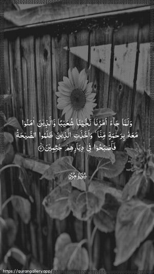 Hud Ayah 94 - Arabic wallpaper