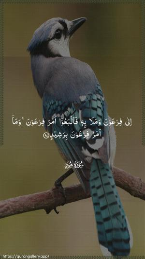 Hud Ayah 97 - Arabic wallpaper