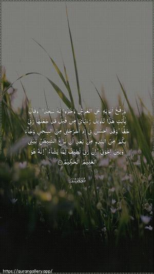 Yusuf Ayah 100 - Arabic wallpaper