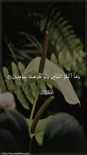 Yusuf Ayah 103 - Arabic wallpaper