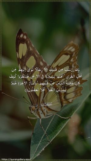 Yusuf Ayah 109 - Arabic wallpaper