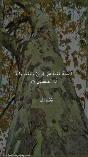 Yusuf Ayah 12 - Arabic wallpaper
