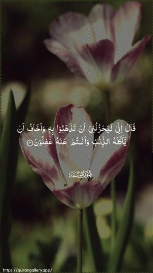 Yusuf Ayah 13 - Arabic wallpaper
