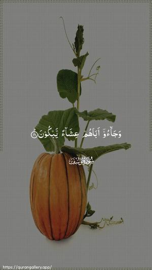 Yusuf Ayah 16 - Arabic wallpaper