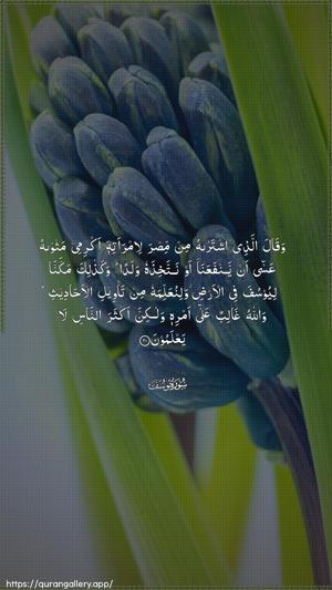 Yusuf Ayah 21 - Arabic wallpaper