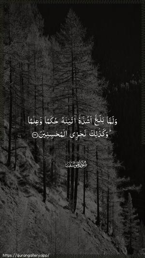 Yusuf Ayah 22 - Arabic wallpaper