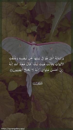 Yusuf Ayah 23 - Arabic wallpaper