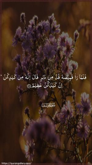Yusuf Ayah 28 - Arabic wallpaper