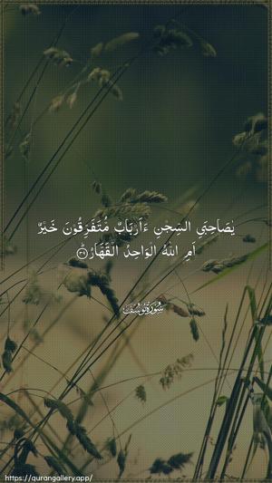 Yusuf Ayah 39 - Arabic wallpaper