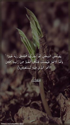 Yusuf Ayah 41 - Arabic wallpaper